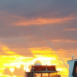 Meet your Posher, Theresa